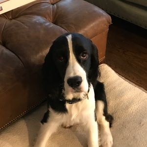 Meet your Posher, Alex